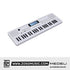 Medeli MK49 49 Keys Portable Keyboard Basic Package with Adapter |  MEDELI |  KEYBOARD-PORTABLE |  Zoso Music