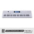 Medeli MK49 49 Keys Portable Keyboard Basic Package with Adapter |  MEDELI |  KEYBOARD-PORTABLE |  Zoso Music