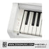 Medeli UP82 88 Keys Entry Level Upright Piano Package With Built In Metronome |  MEDELI |  PIANO-UPRIGHT |  Zoso Music