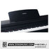 Medeli UP105 88 Keys Entry Level Upright Piano Package With Built In Metronome |  MEDELI |  PIANO-DIGITAL |  Zoso Music