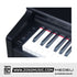 Medeli UP105 88 Keys Entry Level Upright Piano Package With Built In Metronome |  MEDELI |  PIANO-DIGITAL |  Zoso Music