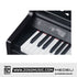 Medeli DP530E 88 Keys Upright Piano Package With Backlit LCD Display for Versatile |  MEDELI |  PIANO-UPRIGHT |  Zoso Music