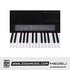 Medeli CP203 88 Keys Compact Digital Piano With USB MIDI Built in Drum Rhythms |  MEDELI |  PIANO-DIGITAL |  Zoso Music