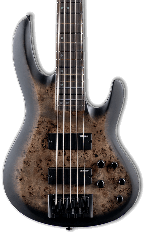 ESP LTD B-5 Ebony Bass Guitar - Charcoal Burst Satin | Zoso Music Sdn Bhd