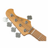 Bacchus Wjb5-630-rsm/m-act Sfg 5 String Base Universe Series Bacchus, Seafoam Green With Bag