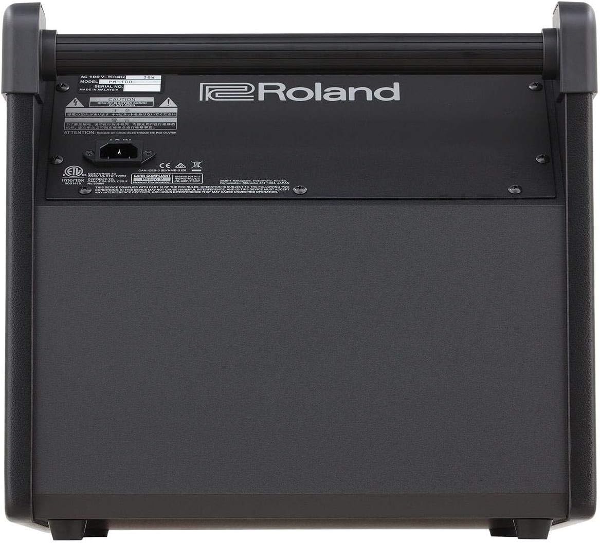 Roland PM-100 - 80 Watt, 1x10
