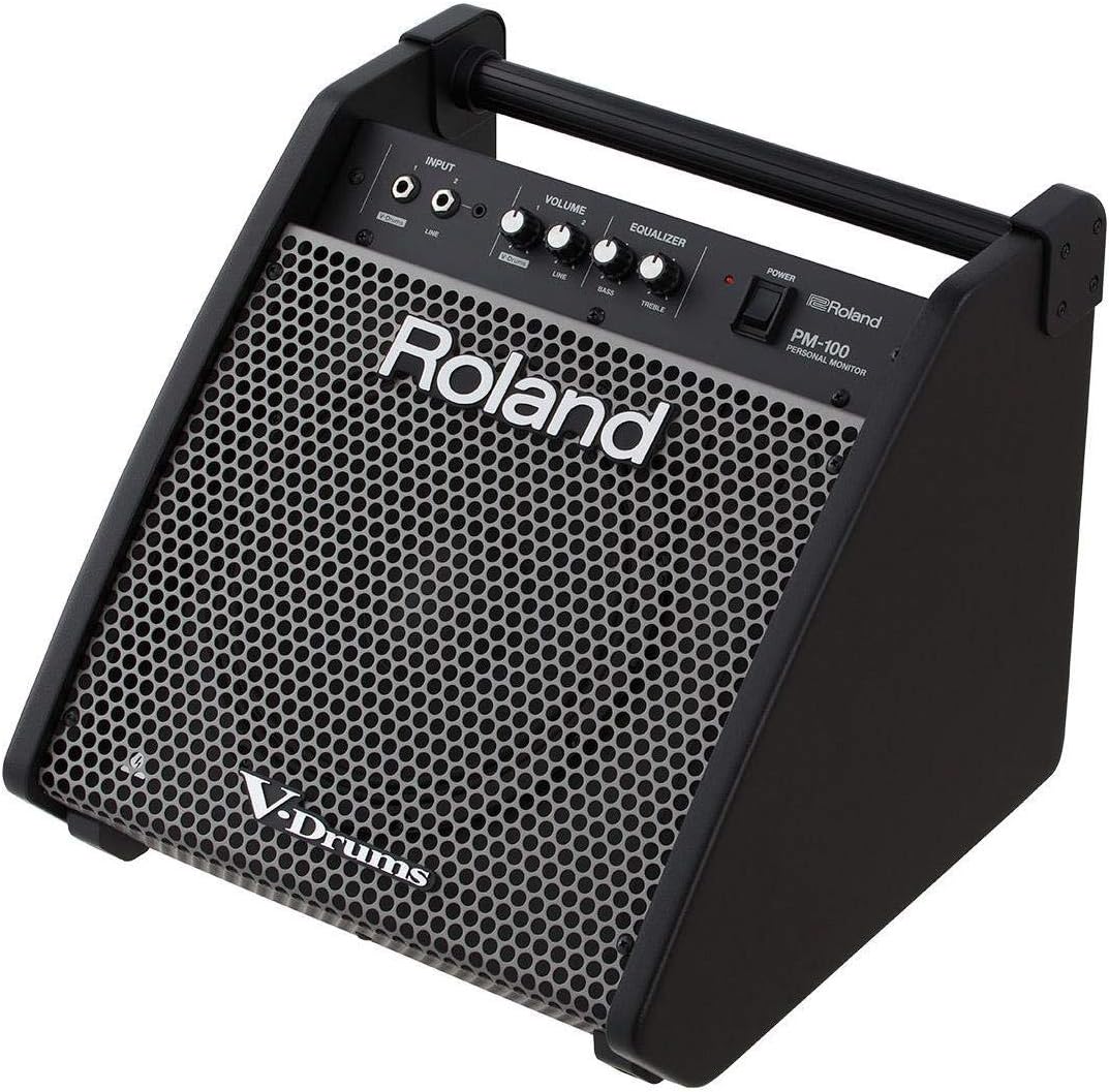 Roland PM-100 - 80 Watt, 1x10