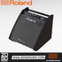 Roland PM-200 - 180 Watt, 1x12" Personal Drum Monitor |  ROLAND |  AMPLIFIER-CABINET |  Zoso Music