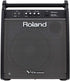 Roland PM-200 - 180 Watt, 1x12" Personal Drum Monitor | Zoso Music Sdn Bhd