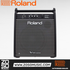 Roland PM-200 - 180 Watt, 1x12" Personal Drum Monitor | Zoso Music Sdn Bhd