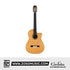 Cordoba Fusion Orchestra CE Cedar Classical Guitar - Solid Canadian Cedar Top, Rosewood Back & Sides with Pickup & Gator Guitar Case