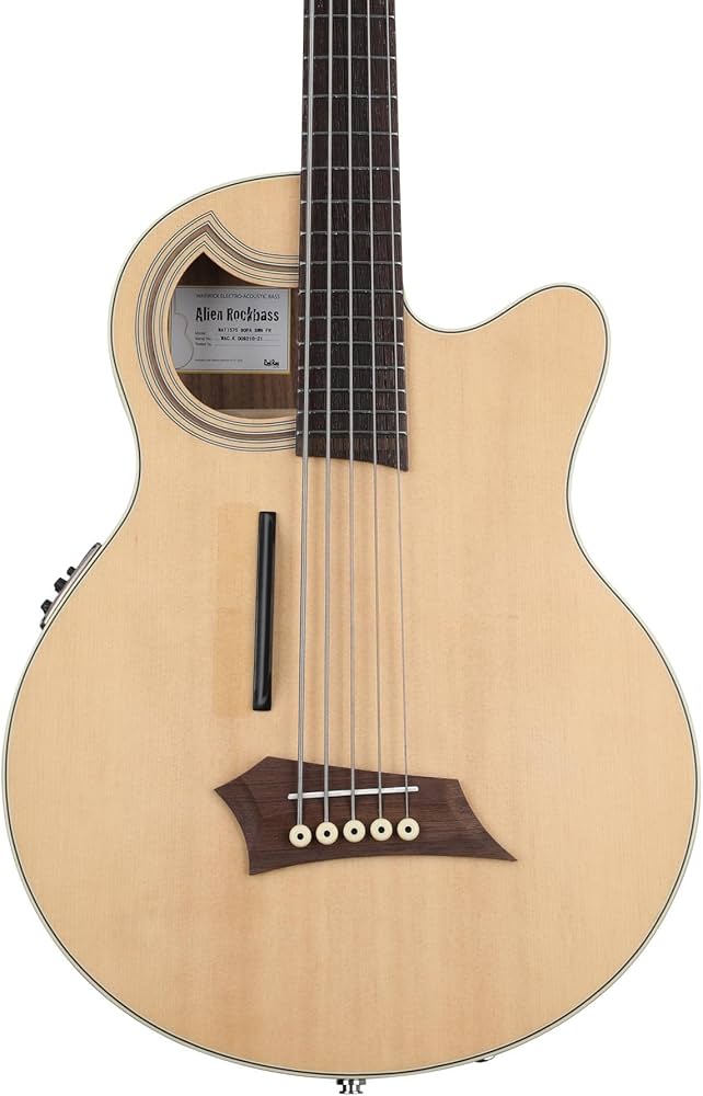 Warwick RockBass Alien Deluxe Hybrid Thinline 5-String Bass Guitar, Natural Transparent Satin | Zoso Music Sdn Bhd