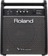 Roland PM-100 - 80 Watt, 1x10" Personal Drum Monitor | Zoso Music Sdn Bhd