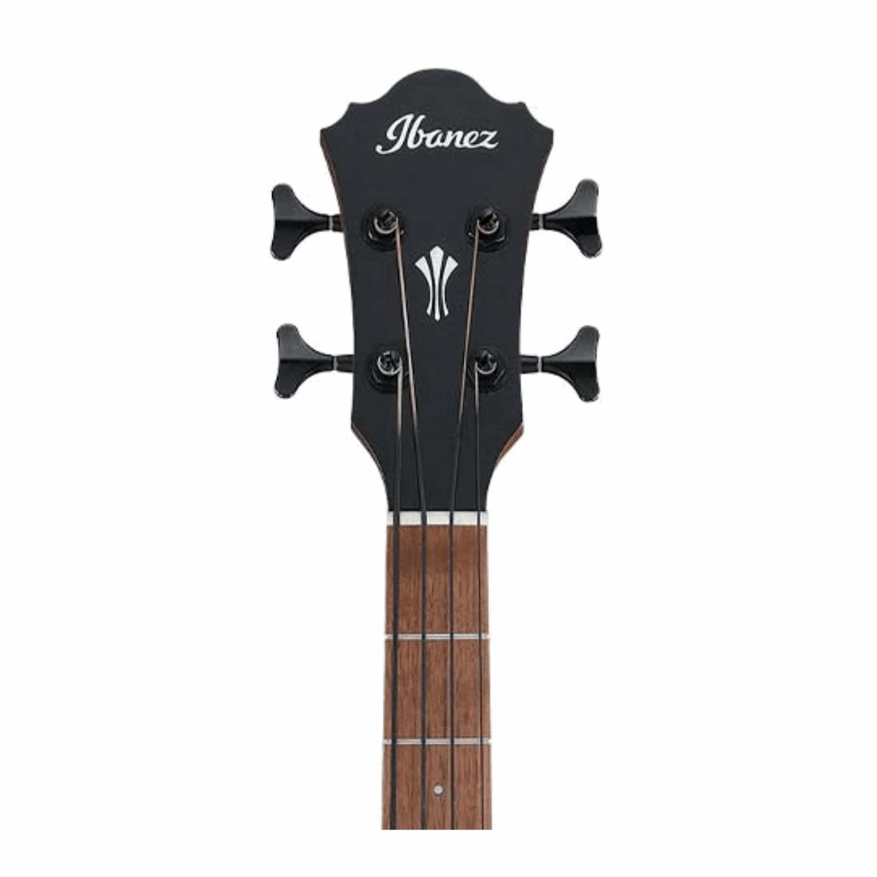 Ibanez AEGB24E-BKH AEG Series Acoustic Electric Bass, Black High Gloss