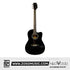 Neowood C10 BK 39Inch Acoustic Guitar Gloss Finish Black |  NEOWOOD |  ACOUSTIC GUITAR |  Zoso Music