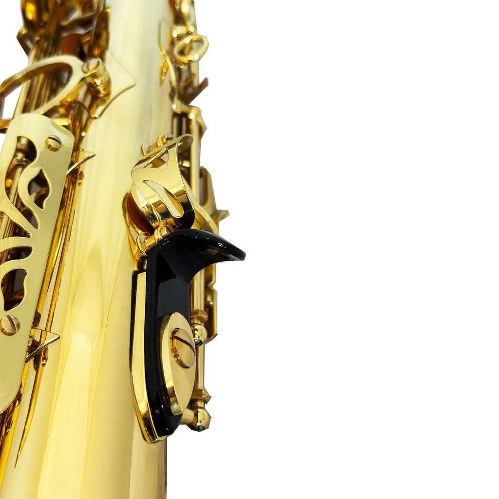 FujinTon AS-200 Student Premium Series Alto Saxophone with Case - Lacquer