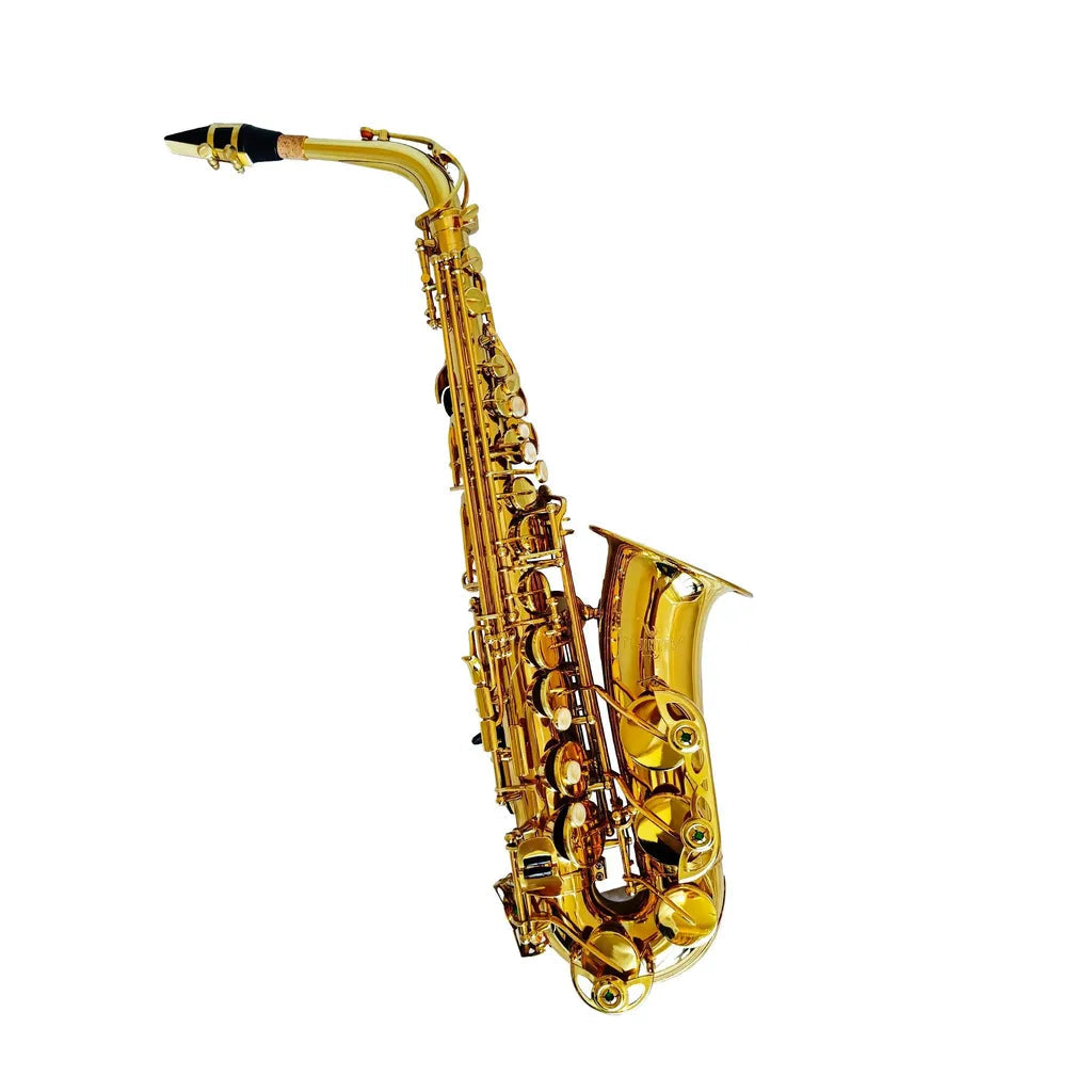 FujinTon AS-200 Student Premium Series Alto Saxophone with Case - Lacquer | Zoso Music Sdn Bhd