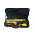 FujinTon AS-200 Student Premium Series Alto Saxophone with Case - Lacquer |  FUJINTON |  WOODWINDS-SAXOPHONE |  Zoso Music