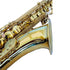 FujinTon TS-100 Student Series Tenor Saxophone with Case - Lacquer