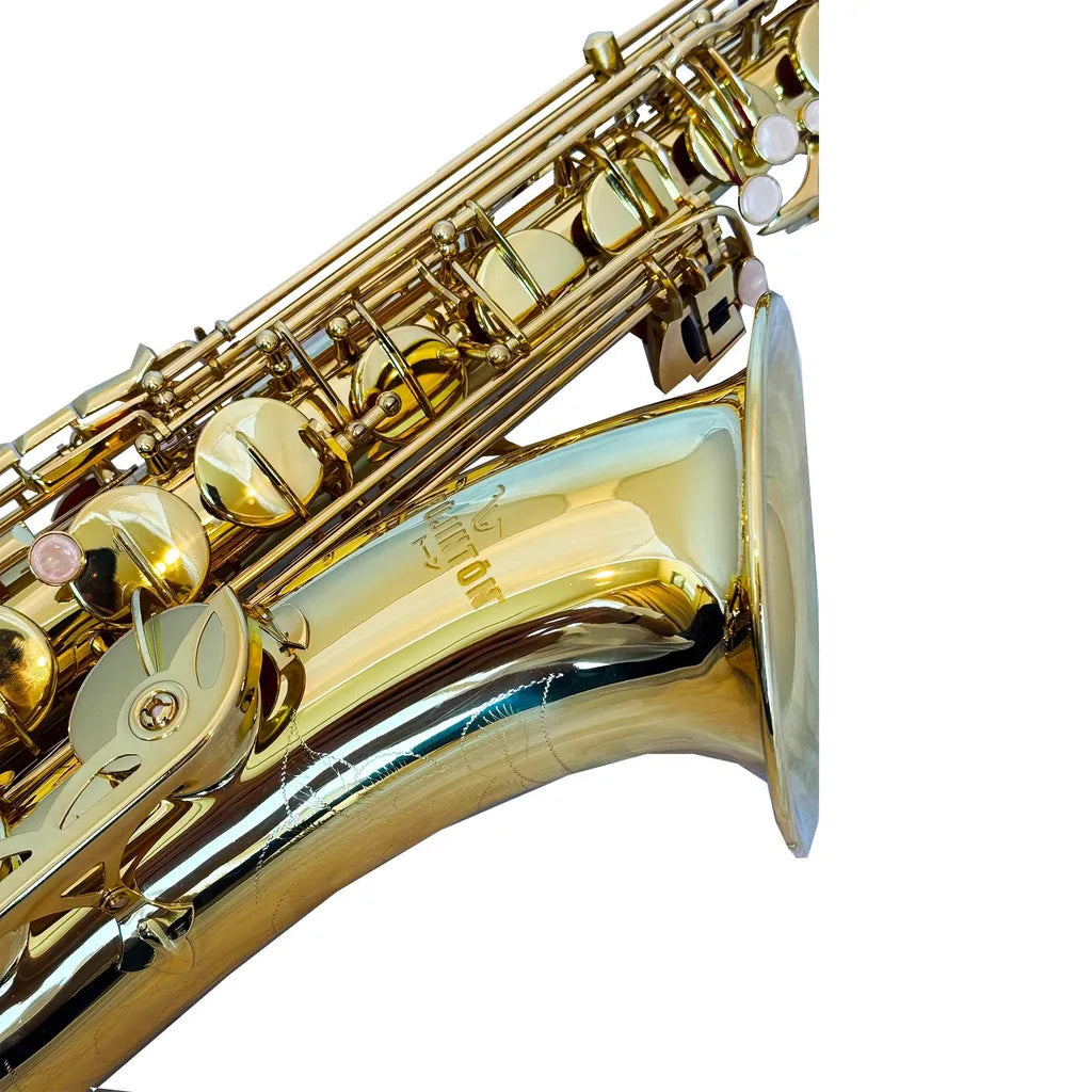 FujinTon TS-100 Student Series Tenor Saxophone with Case - Lacquer