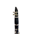 FujinTon CL-100 Student Series Bb Clarinet with Case |  FUJINTON |  WOODWINDS-CLARINET |  Zoso Music