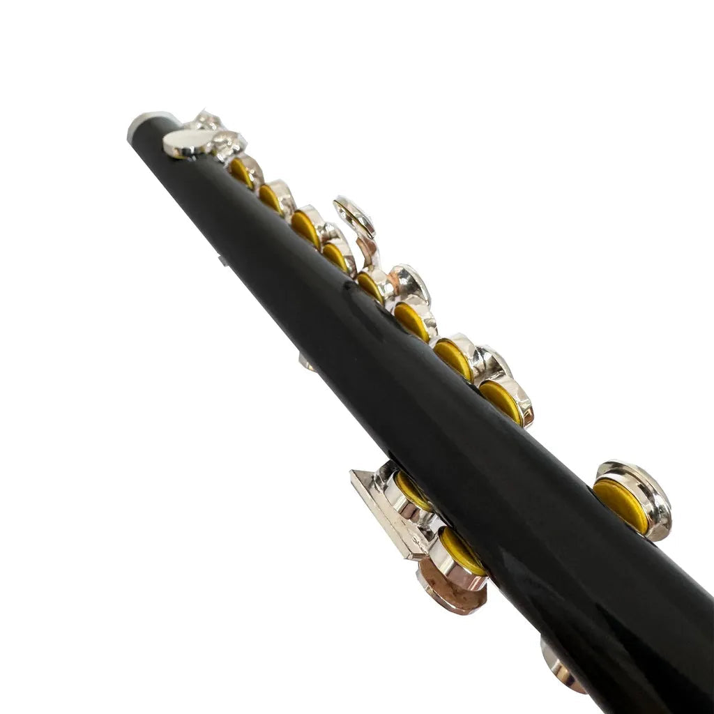 FujinTon PC-100 Student Series Piccolo in C key with Case