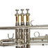 FujinTon TR-100N Student Series Bb Trumpet with Case - Nickel Plated