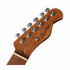 Bacchus Bte-1-rsm/m-bbd Universe Series Roasted Maple Electric Guitar, Butterscotch Blonde With Bag