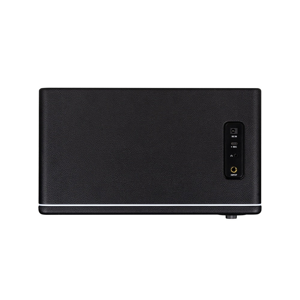 Mooer Hornet 30i Modeling Combo Amplifier |  MOOER |  AMPLIFIER-CABINET |  Zoso Music
