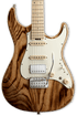 ESP Snapper-AS/M Electric Guitar - Burner (SNAPPERASM) |  ESP |  ELECTRIC GUITAR |  Zoso Music