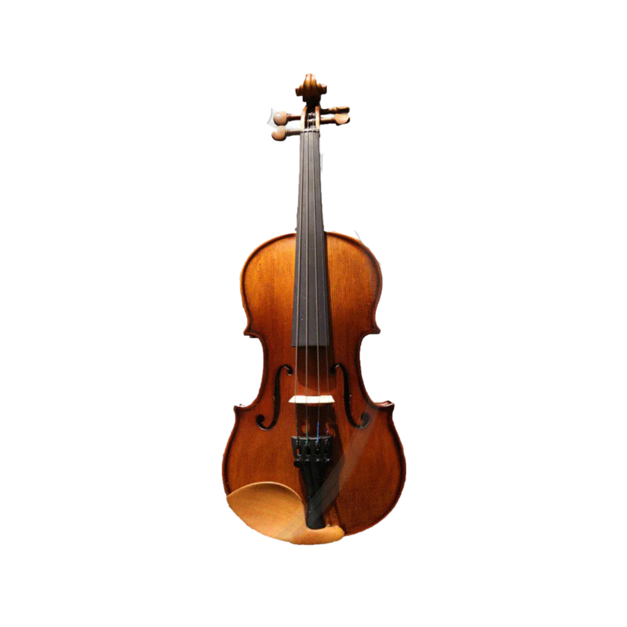 Benjamin Kienz Selection VPE30 1/4 Size Violin with Case for 4-7 years old