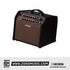 Boss Acoustic Singer Pro 120-watt Acoustic Combo Amplifier