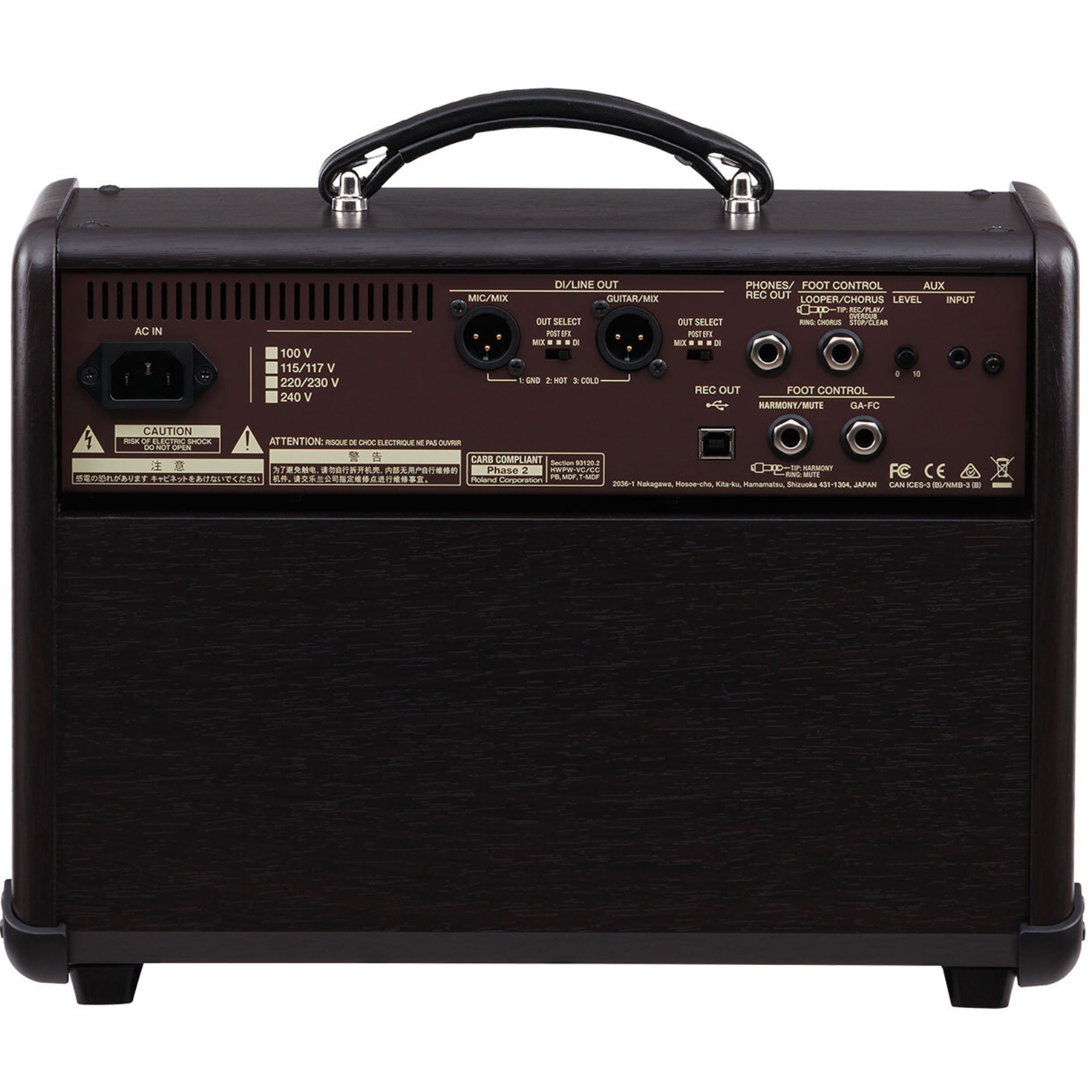 Boss ACS-LIVE - 60 Watt Acoustic Singer Live Acoustic Combo Guitar Amplifier