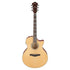 Ibanez AE170-NTR AE Series Acoustic Electric Guitar, Natural High Gloss |  IBANEZ |  ACOUSTIC GUITAR |  Zoso Music