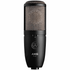 AKG P420 Large-Diaphragm Condenser Microphone (P-420 / P 420) | AKG , Zoso Music