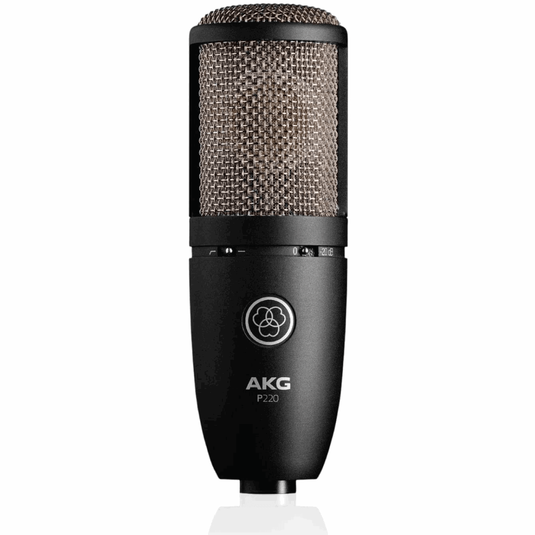 AKG P220 Large-diaphragm Condenser Microphone (P-220 / P 220) | AKG , Zoso Music