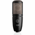 AKG P220 Large-diaphragm Condenser Microphone (P-220 / P 220) | AKG , Zoso Music