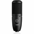 AKG P120 Large-Diaphragm Condenser Microphone (P-120 / P 120) | AKG , Zoso Music