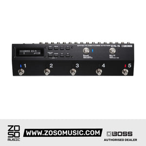 Boss ES-5 - Zoso Music