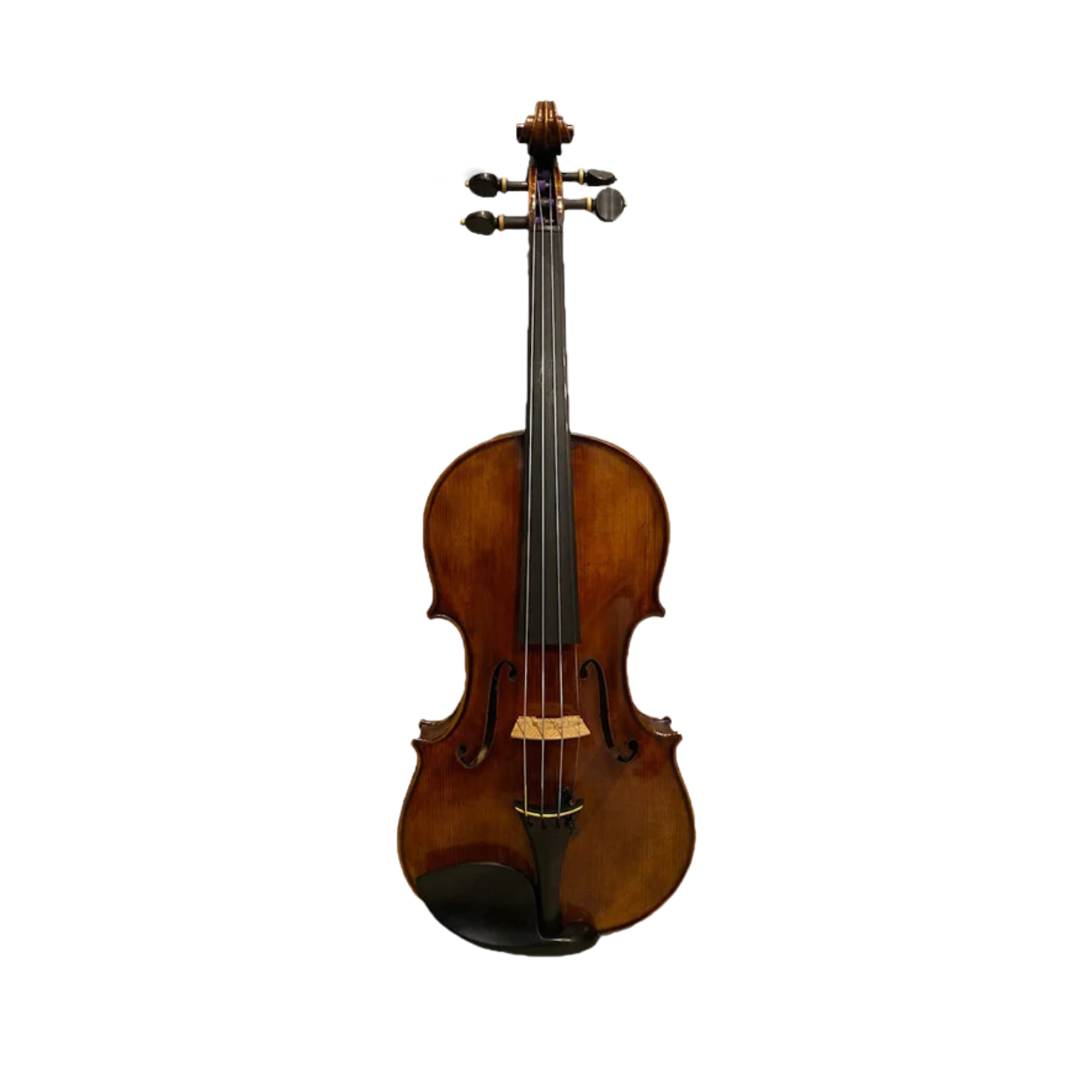Benjamin Kienz Selection VPE35 1/2 Size Violin with Case for 6-10 years old