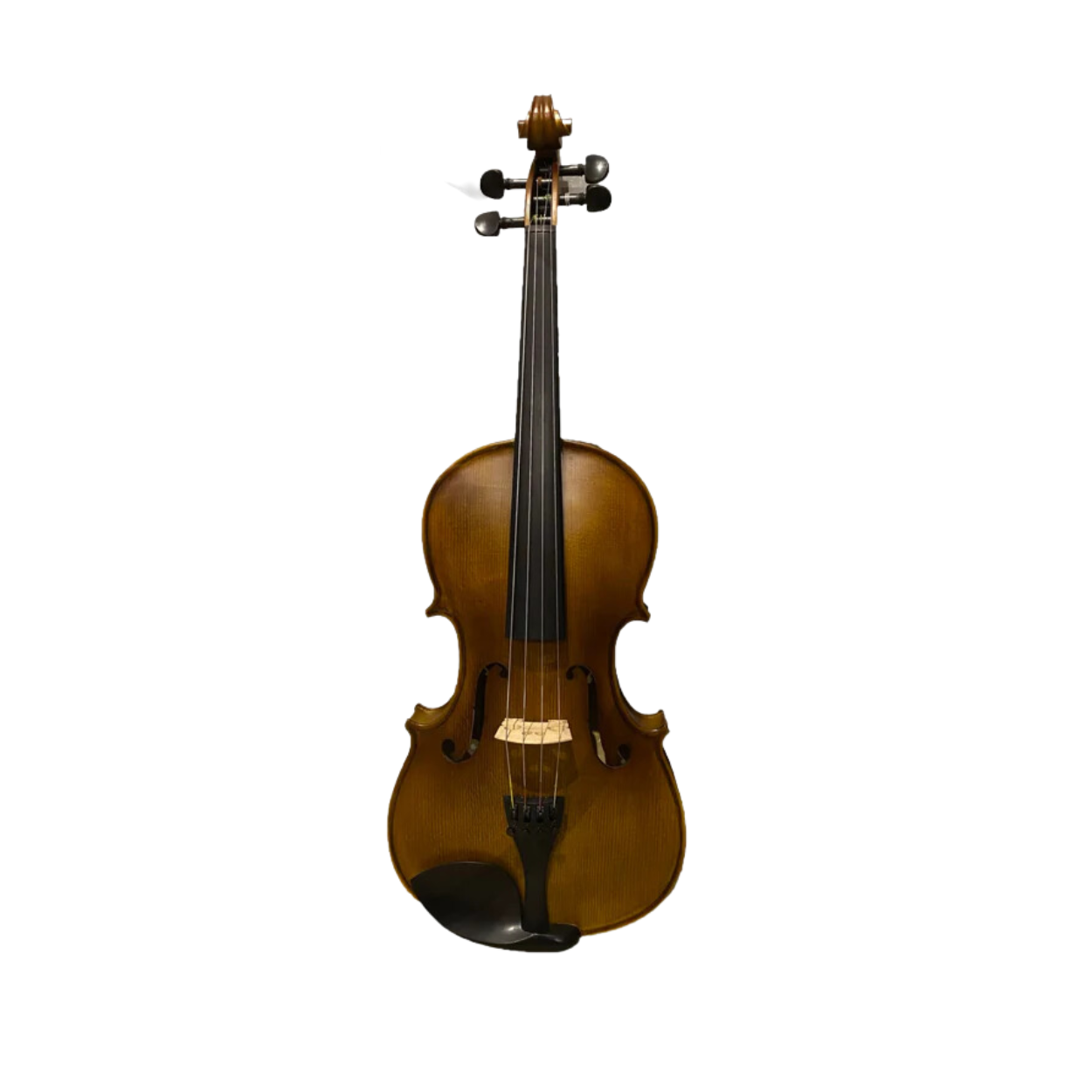 Benjamin Kienz Selection Viola Prelude 30 15.5'' with Case