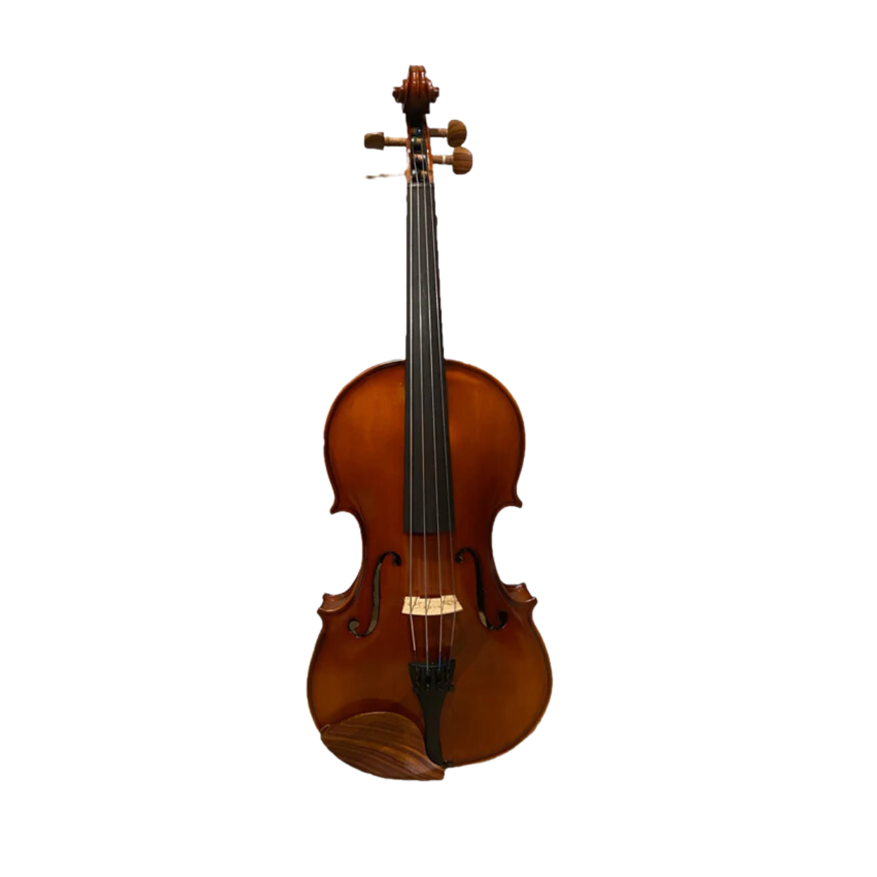 Benjamin Kienz Selection ETUDE 20 15'' Viola with Case