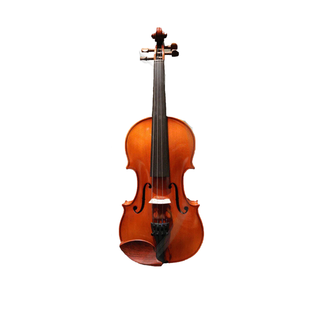 Benjamin Kienz Selection VET20 4/4 Size Violin with Case for 12+ years old