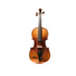 Benjamin Kienz Selection VPE30 4/4 Size Violin with Case for 12+ years old |  BENJAMIN KIENZ |  STRINGS INST-VIOLIN |  Zoso Music
