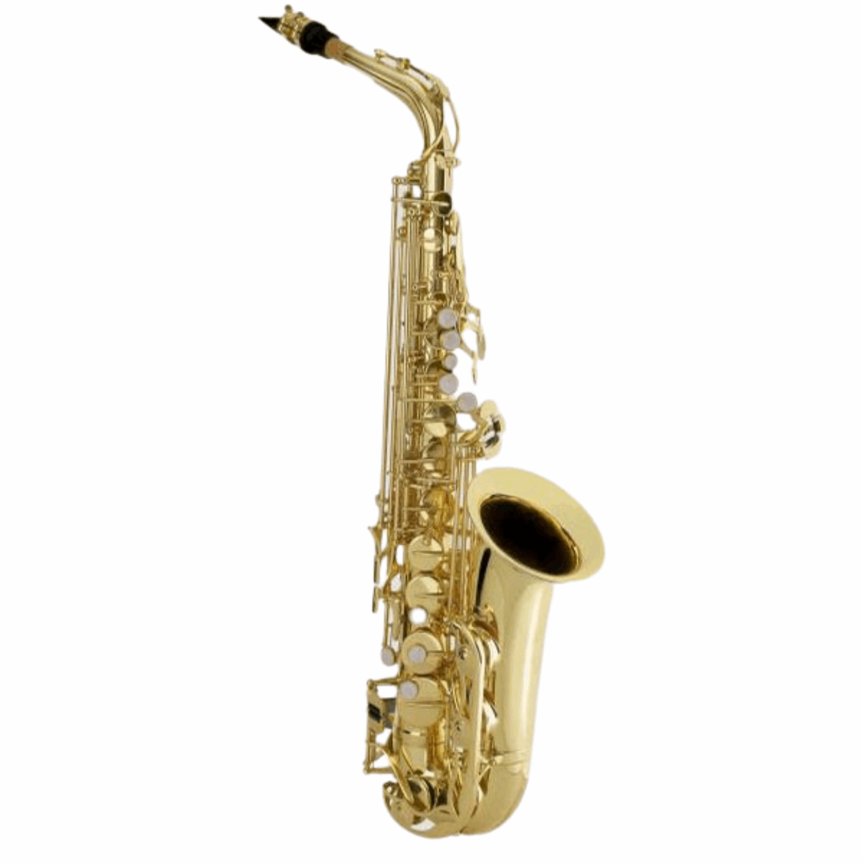 Antigua Alto Saxophone AS2150LN Beginner Alto Sax With Case (AS 2150LN)