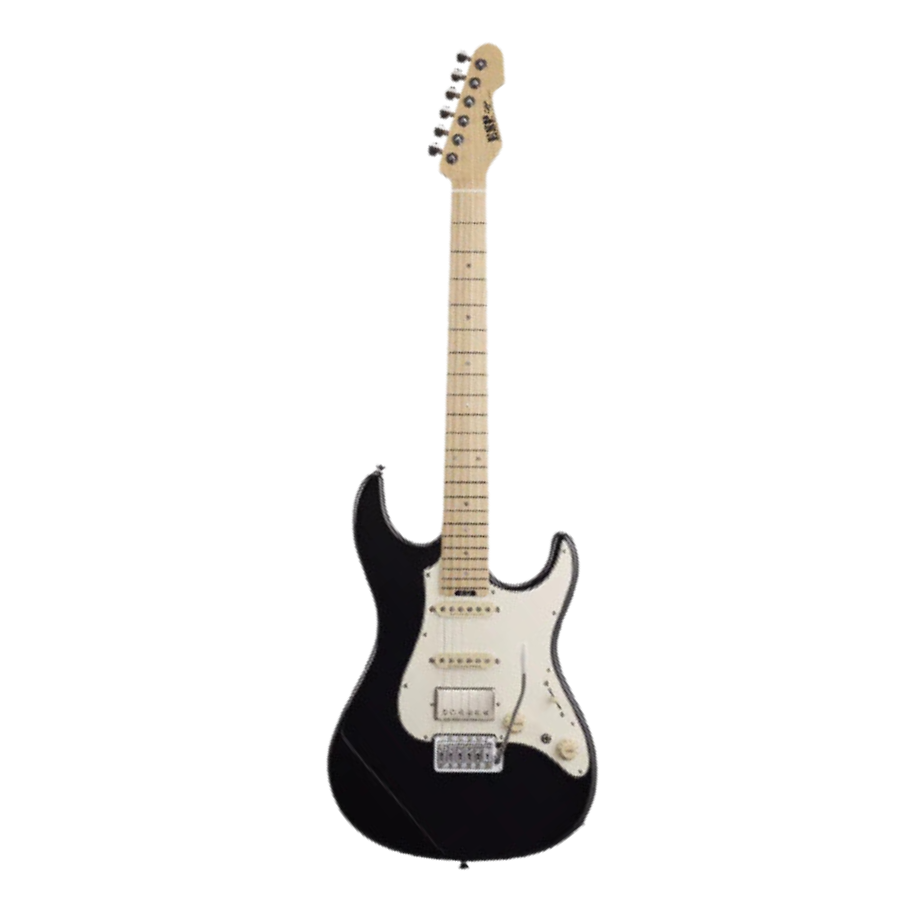 ESP Snapper-AS/M Electric Guitar - Black (SNAPPERASM) |  ESP |  ELECTRIC GUITAR |  Zoso Music
