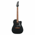 Ibanez Altstar ALT20 Acoustic-electric Guitar - Weathered Black - Zoso Music