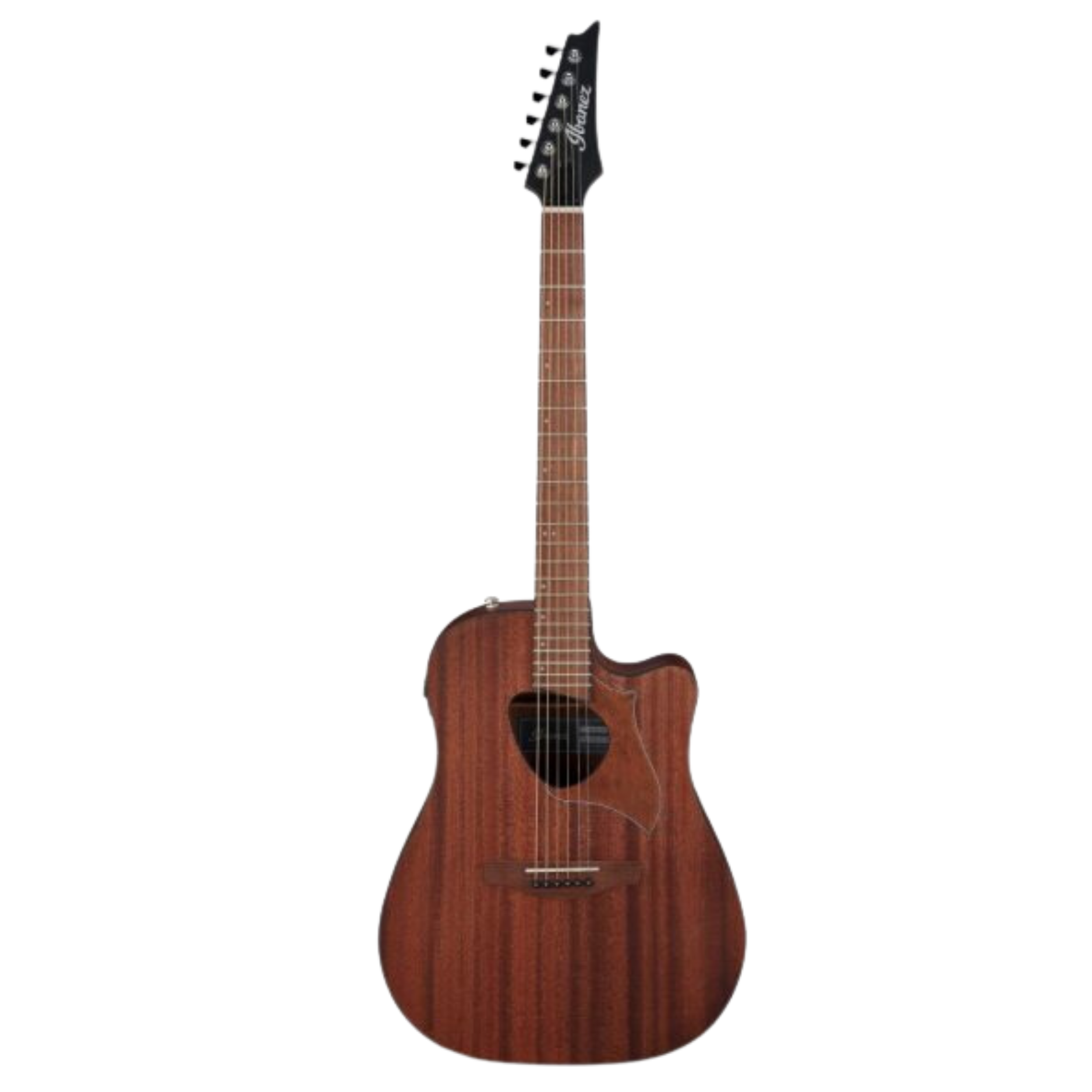 Ibanez Altstar ALT20 Acoustic-electric Guitar - Open Pore Natural - Zoso Music