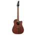Ibanez Altstar ALT20 Acoustic-electric Guitar - Open Pore Natural - Zoso Music