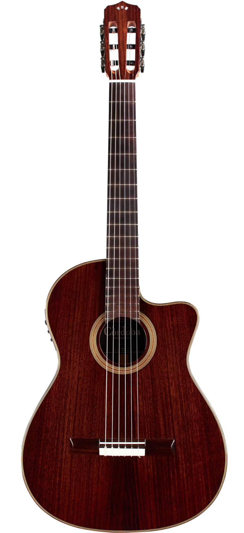 Cordoba Fusion 12 Rose II Acoustic Nylon Guitar - Spruce Top, Rosewood Back & Sides |  CORDOBA |  ACOUSTIC GUITAR |  Zoso Music
